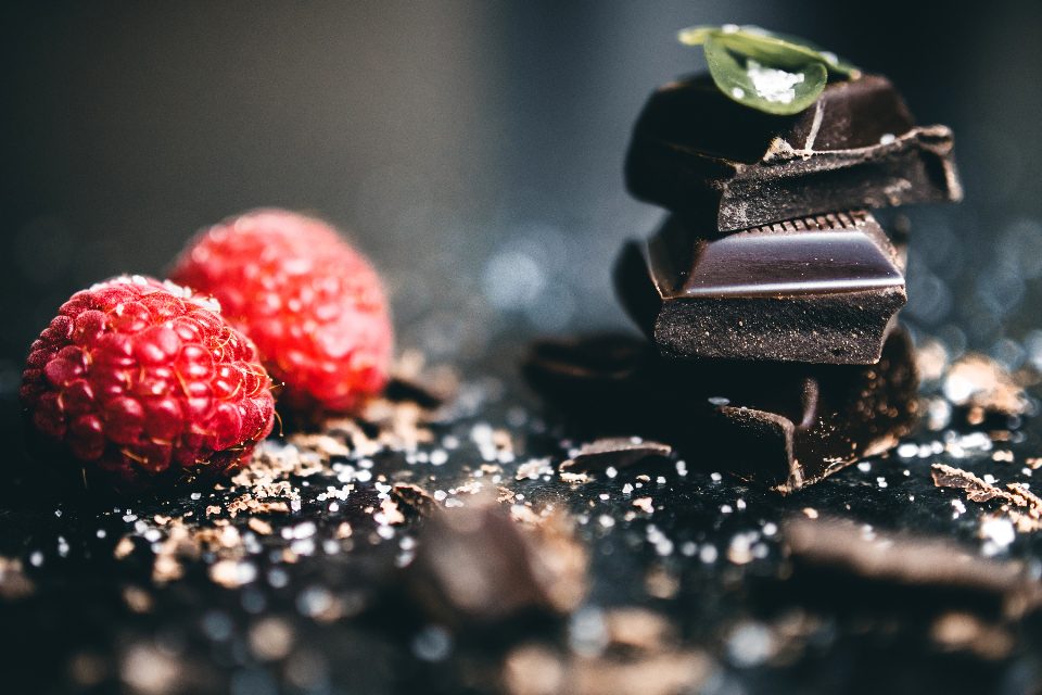 My dog ate chocolate: what to do in the next hour