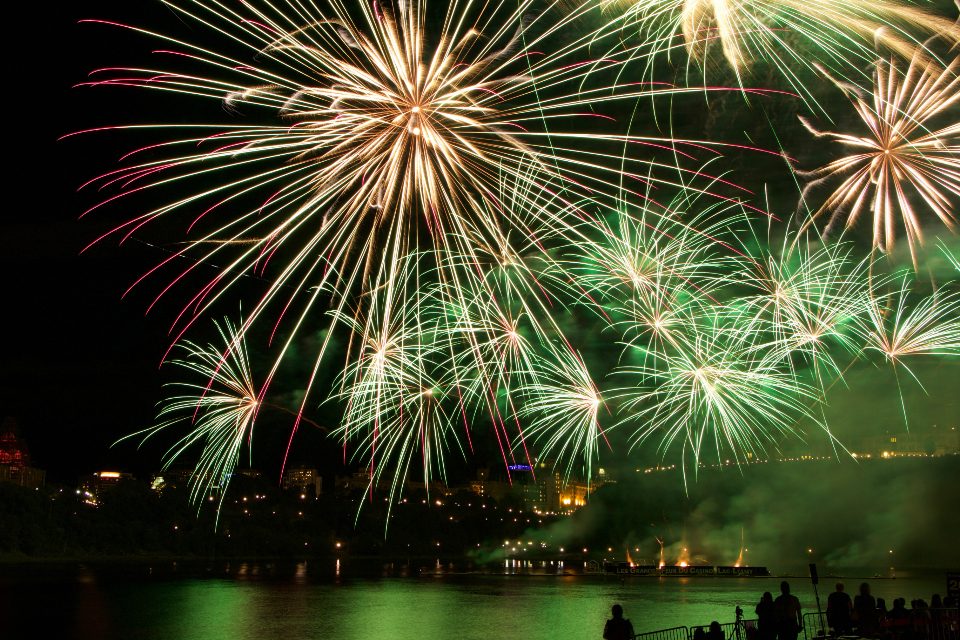 Fireworks and noise fears: keeping your pet calm