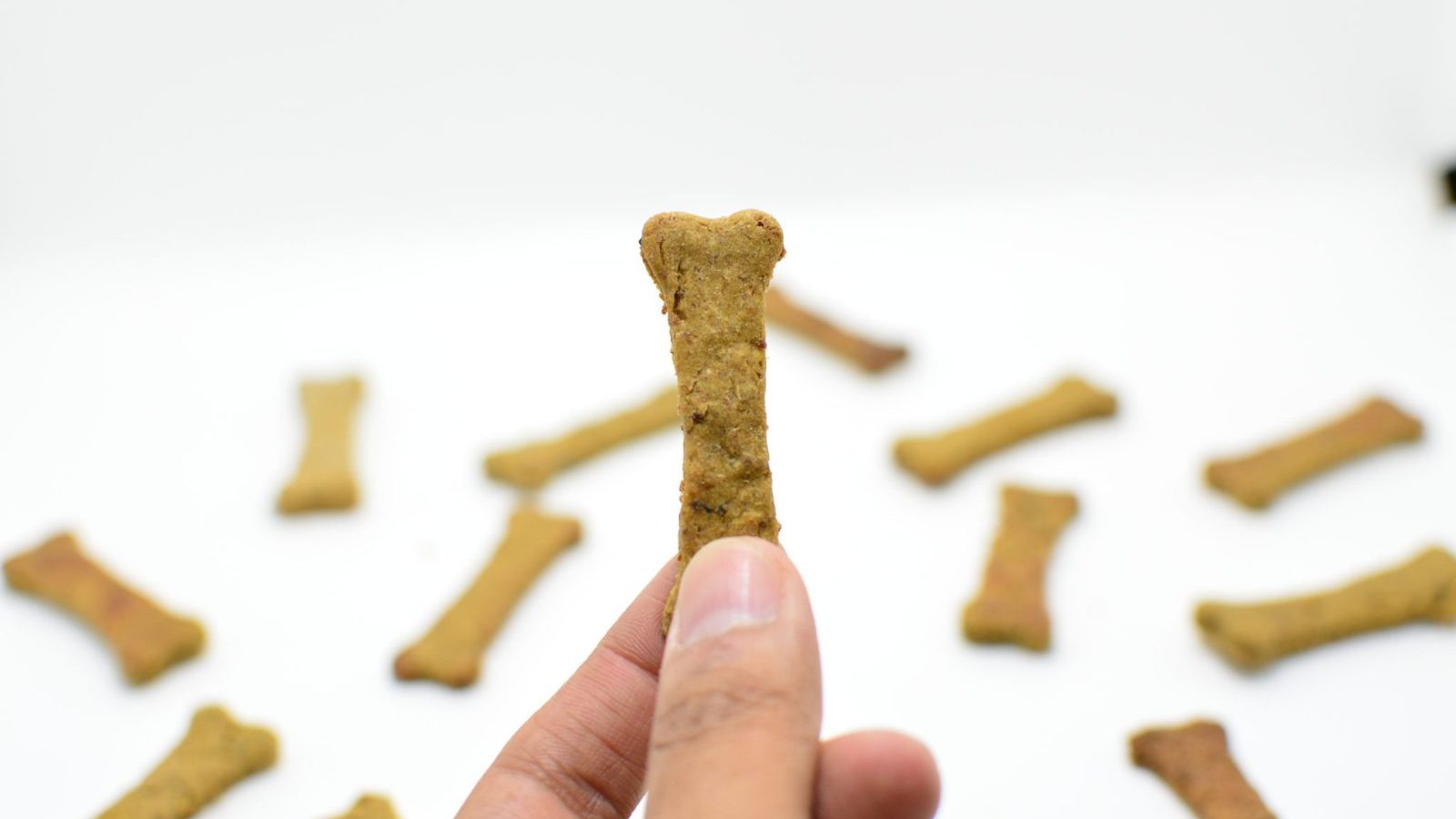 How to give your dog or cat a tablet